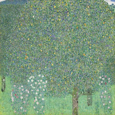 Tanzende Frau mit Umhang von Gustav Klimt